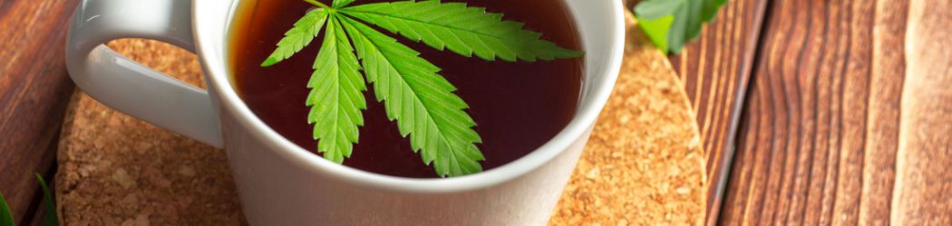 The power of cannabis plant in a delicious tea. Healthy hemp tea without THC on CBDprime!