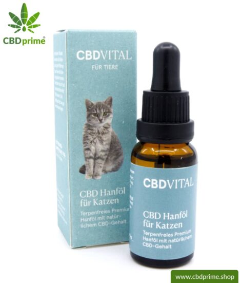 CBD hemp oil for cats | Positive effect for your cat with 2.1% CBD | Organically produced by CBD VITAL. Vegan